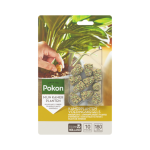 Pokon Kamerplanten Voedingskegels 10 stuks