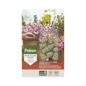 Pokon Terras & Balkon Planten Voedingskegels 10 stuks